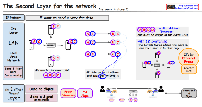 The Second Layer for the network – Lechuck Park