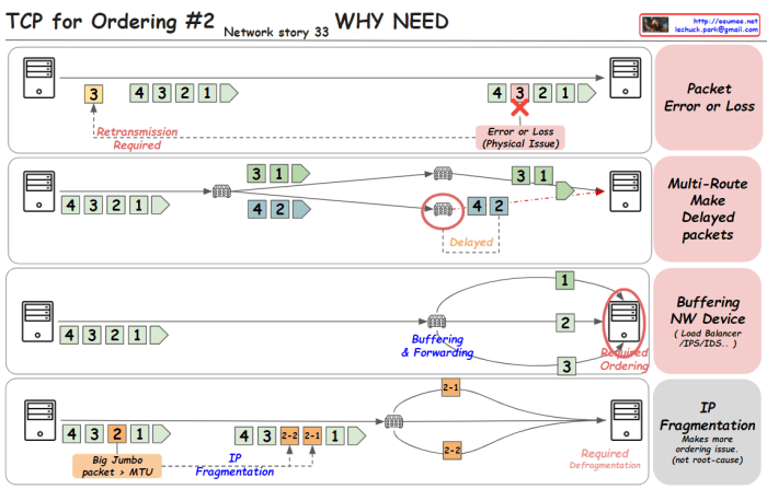 TCP for Ordering#2 -WHY NEED – Lechuck Park