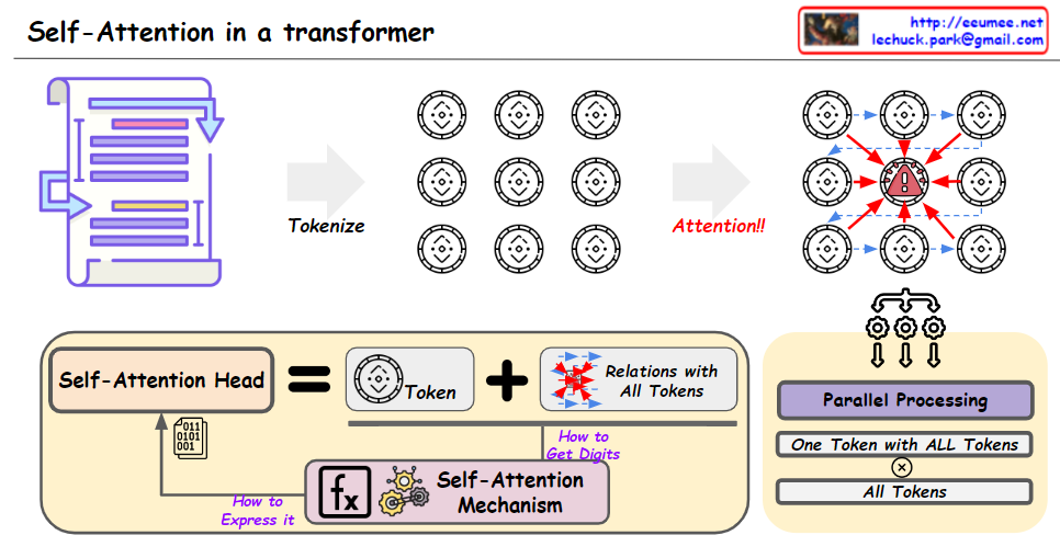 Self-attention in a transformer – Lechuck Park