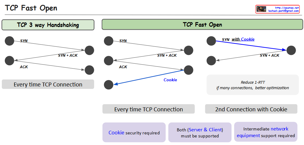 TCP fast open – Lechuck Park